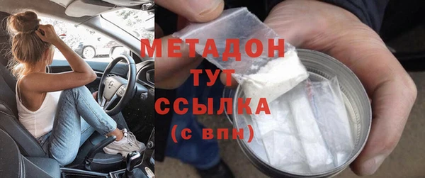 шишки Инта