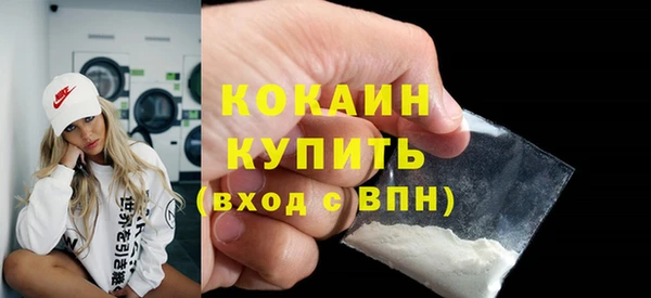 шишки Инта