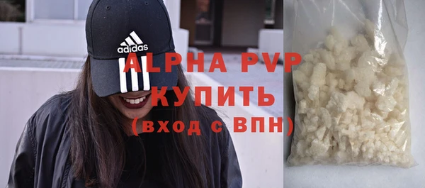 шишки Инта