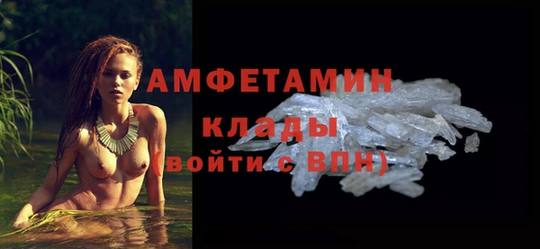 шишки Инта