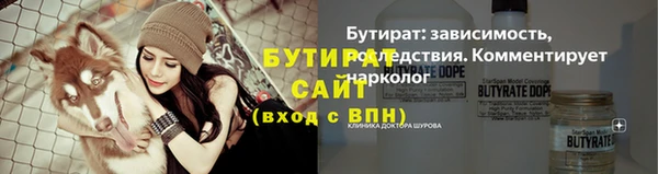шишки Инта