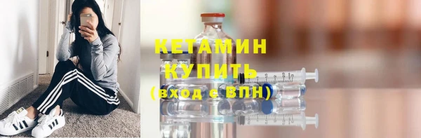 шишки Инта