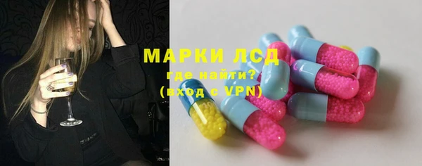 шишки Инта