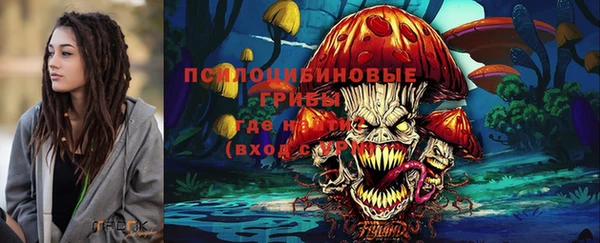 шишки Инта