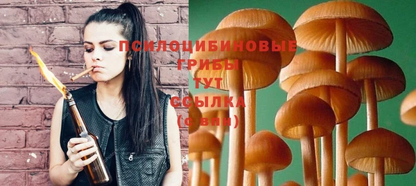 шишки Инта