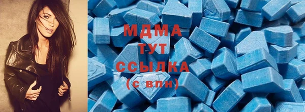 шишки Инта