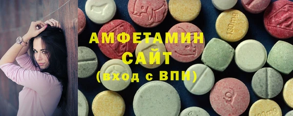 шишки Инта