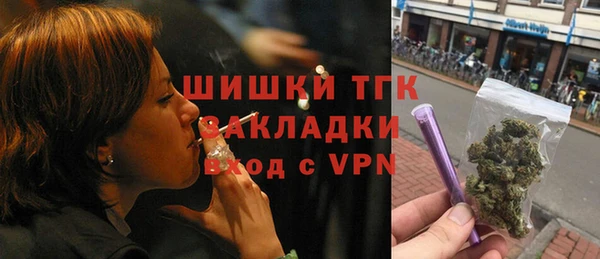 шишки Инта