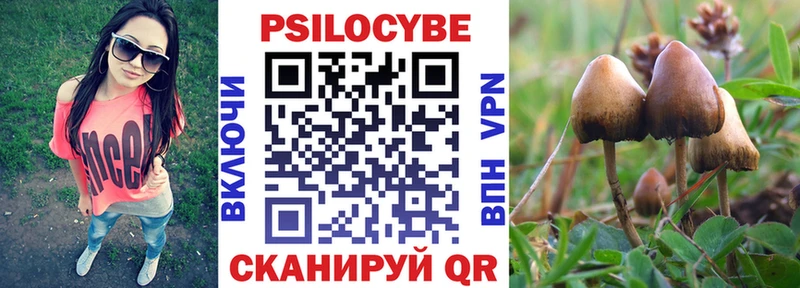 Псилоцибиновые грибы мицелий  Купить где  Новокузнецк 